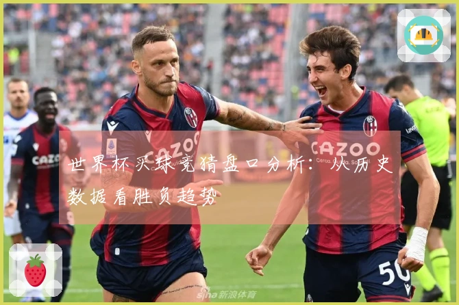 世界杯买球竞猜盘口分析：从历史数据看胜负趋势