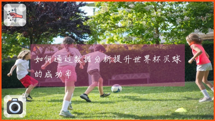 如何通过数据分析提升世界杯买球的成功率