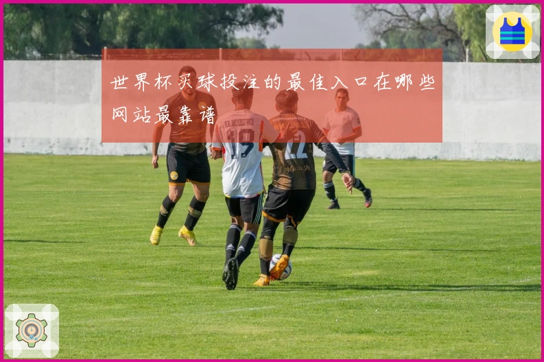 世界杯买球投注的最佳入口在哪些网站最靠谱